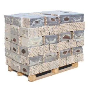 REKORD Bricchetti di lignite 500 kg Lusazia potere calorifico 5,3 kWh